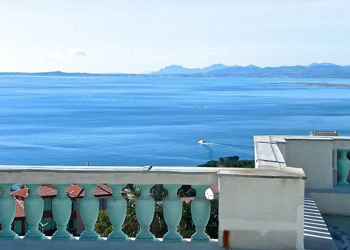 Dracoena * ニース